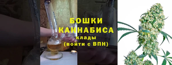сатива Беломорск