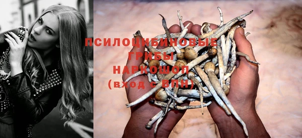 прущие крисы Балабаново