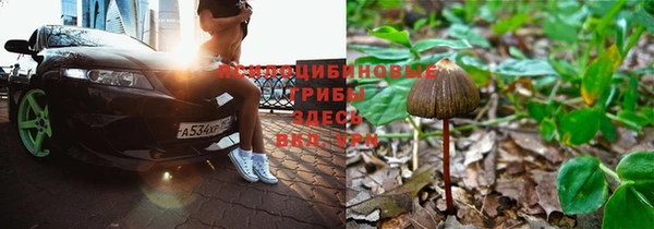 амф Белокуриха