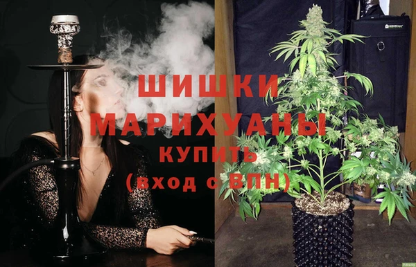 спайс Баксан