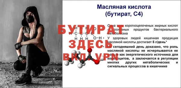 сатива Беломорск