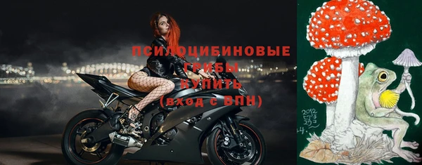 сатива Беломорск