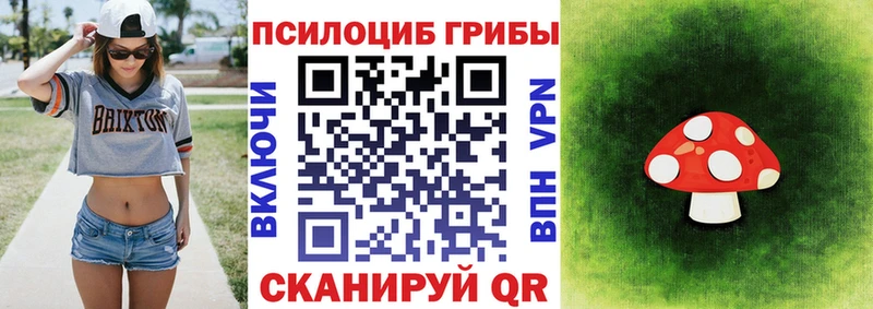 Галлюциногенные грибы прущие грибы  Тайга 